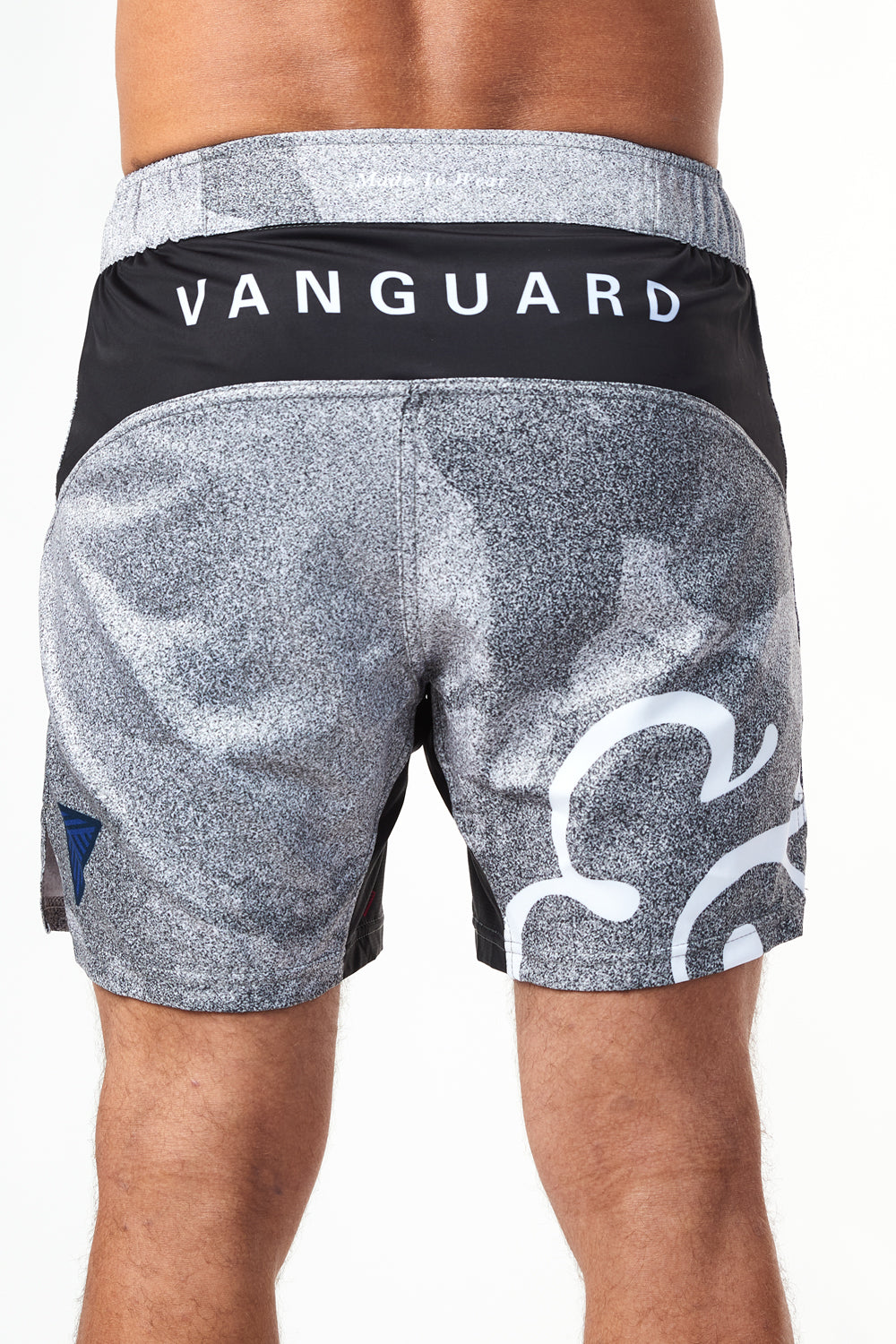 Science & Art Grappling Shorts - Pixel
