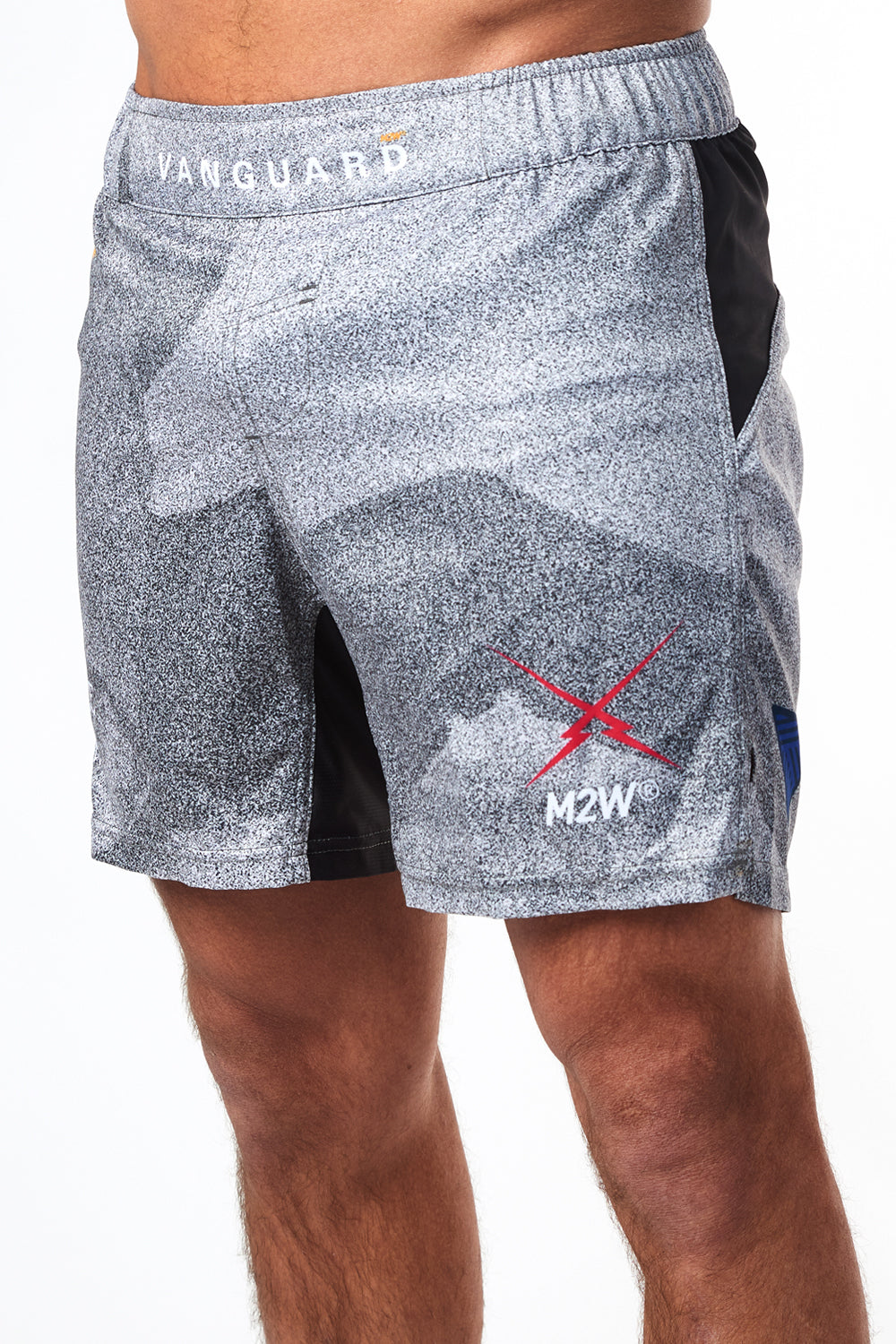 Science & Art Grappling Shorts - Pixel