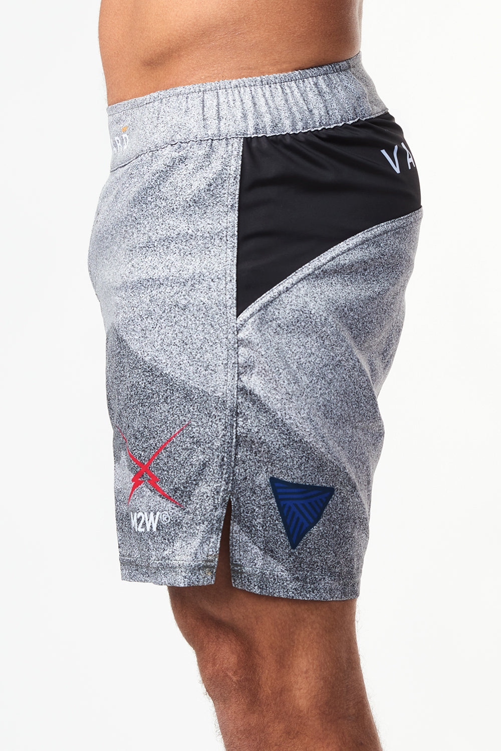 Science & Art Grappling Shorts - Pixel