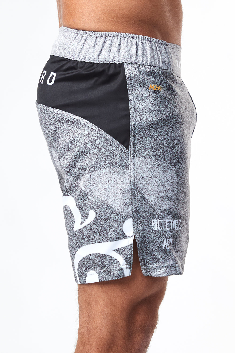 Science & Art Grappling Shorts - Pixel